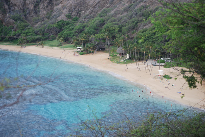 Compare the Hoku and the Paea Outrigger Paddles