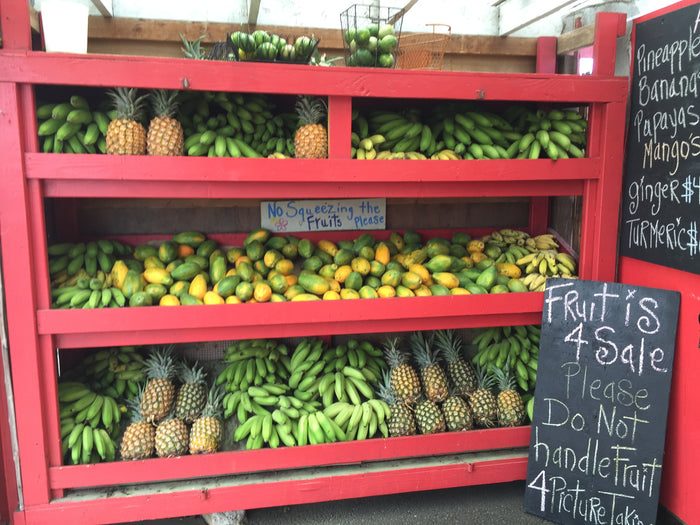 Eating and Exercise - Tips to Maximize Your Workouts