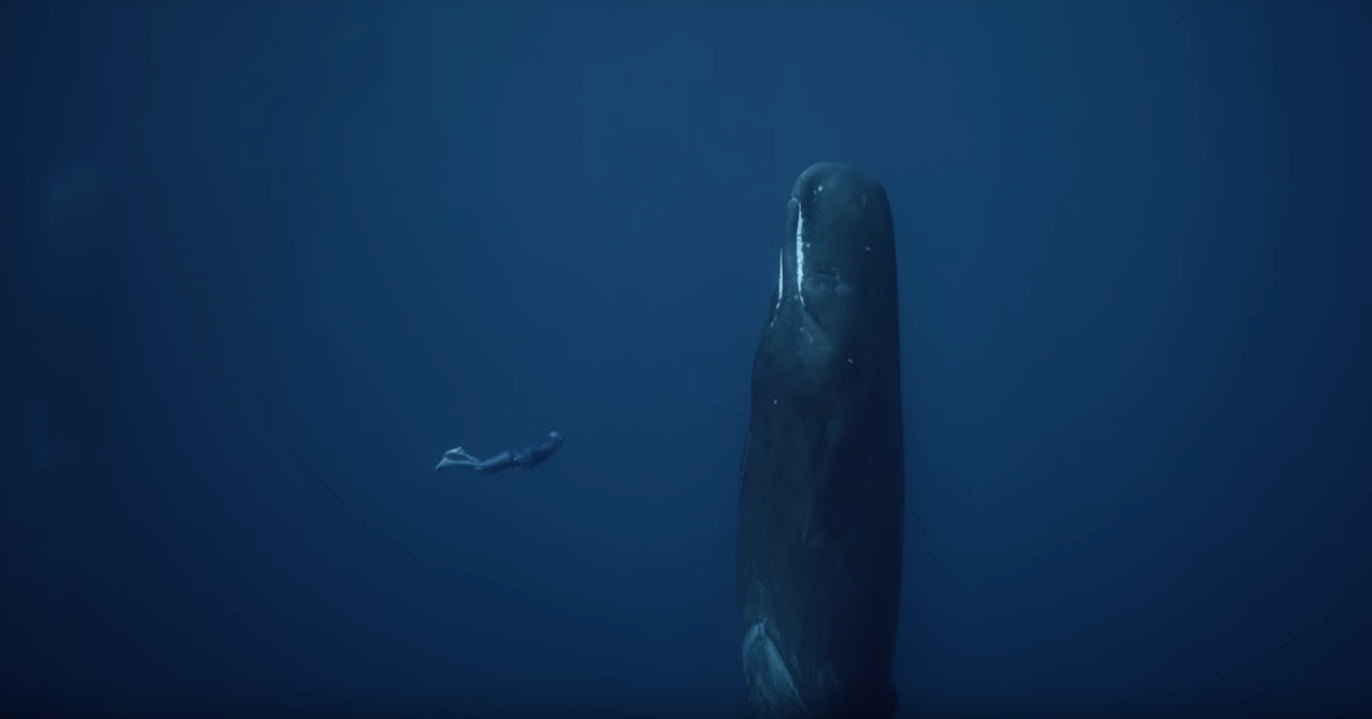 Underwater Visual Meditation