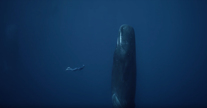 Underwater Visual Meditation