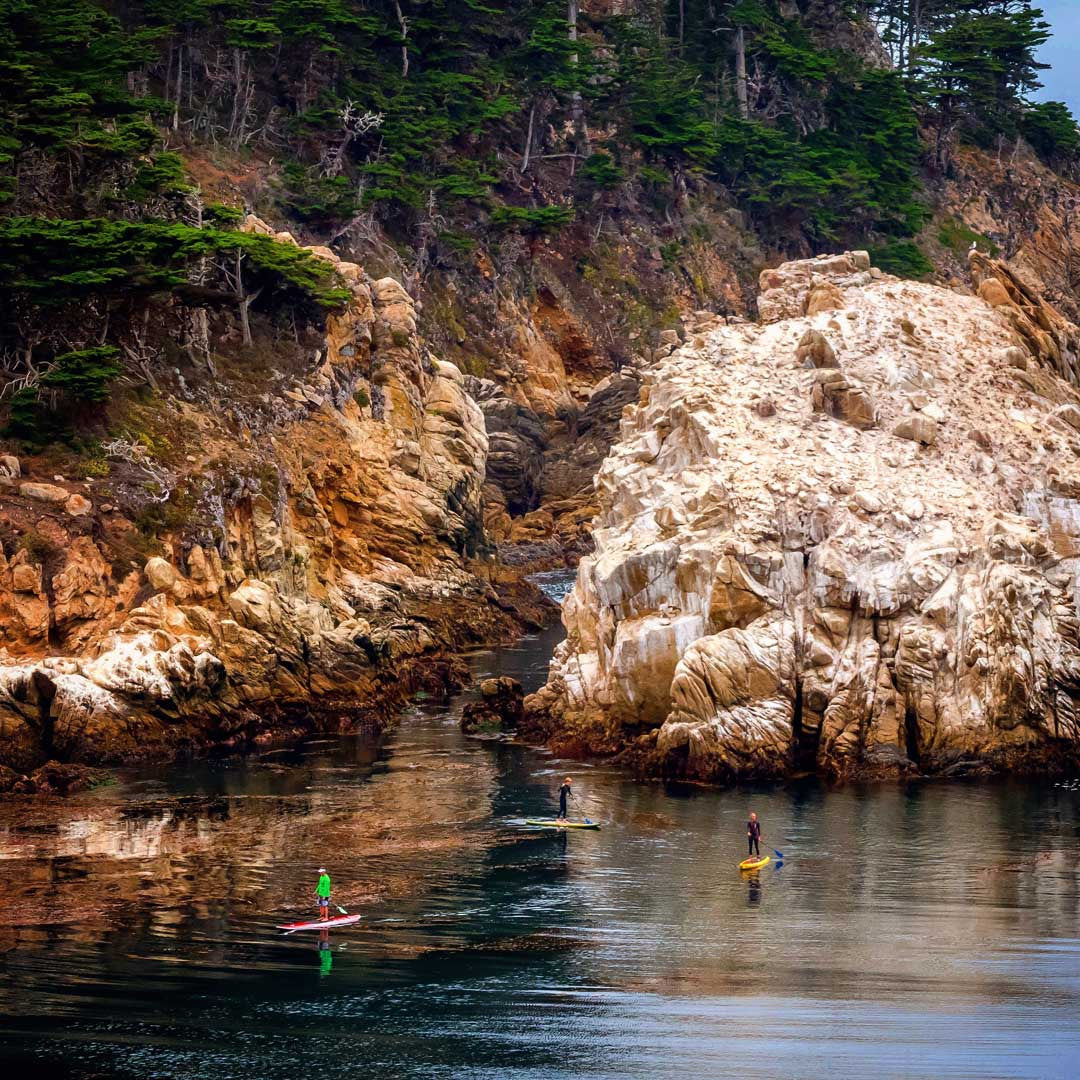 Kelp Beds and Cleaner Waters: One Paddler’s Advocacy, by Brent Allen