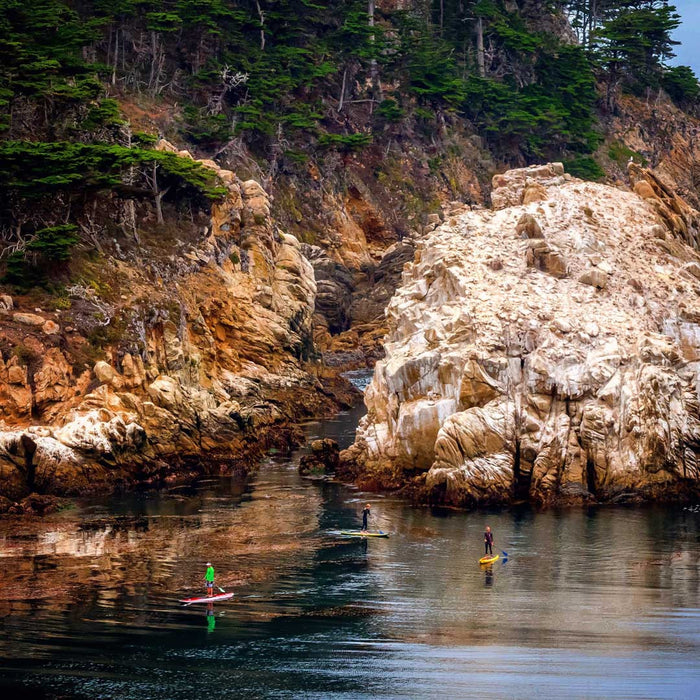 Kelp Beds and Cleaner Waters: One Paddler’s Advocacy, by Brent Allen