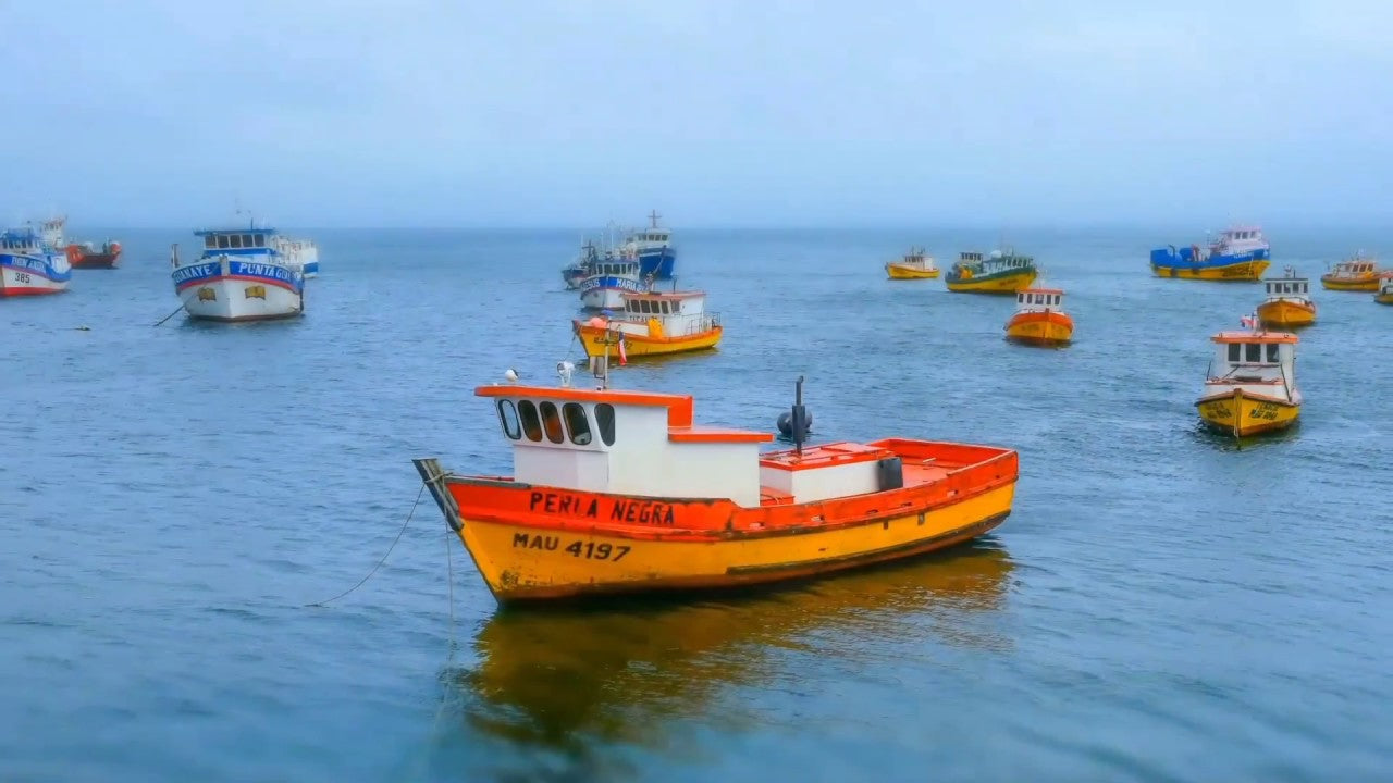 Patagonia is a Dream