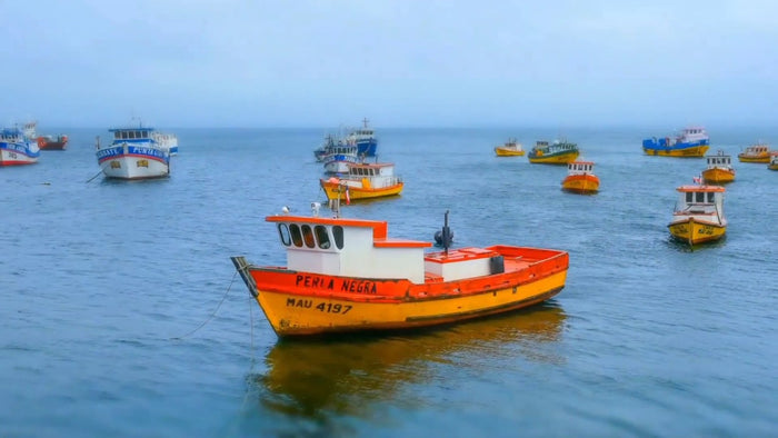 Patagonia is a Dream