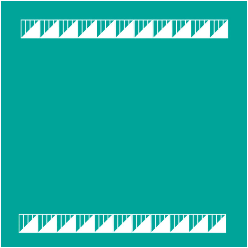 BELLINGHAM BAY OUTRIGGER PADDLERS