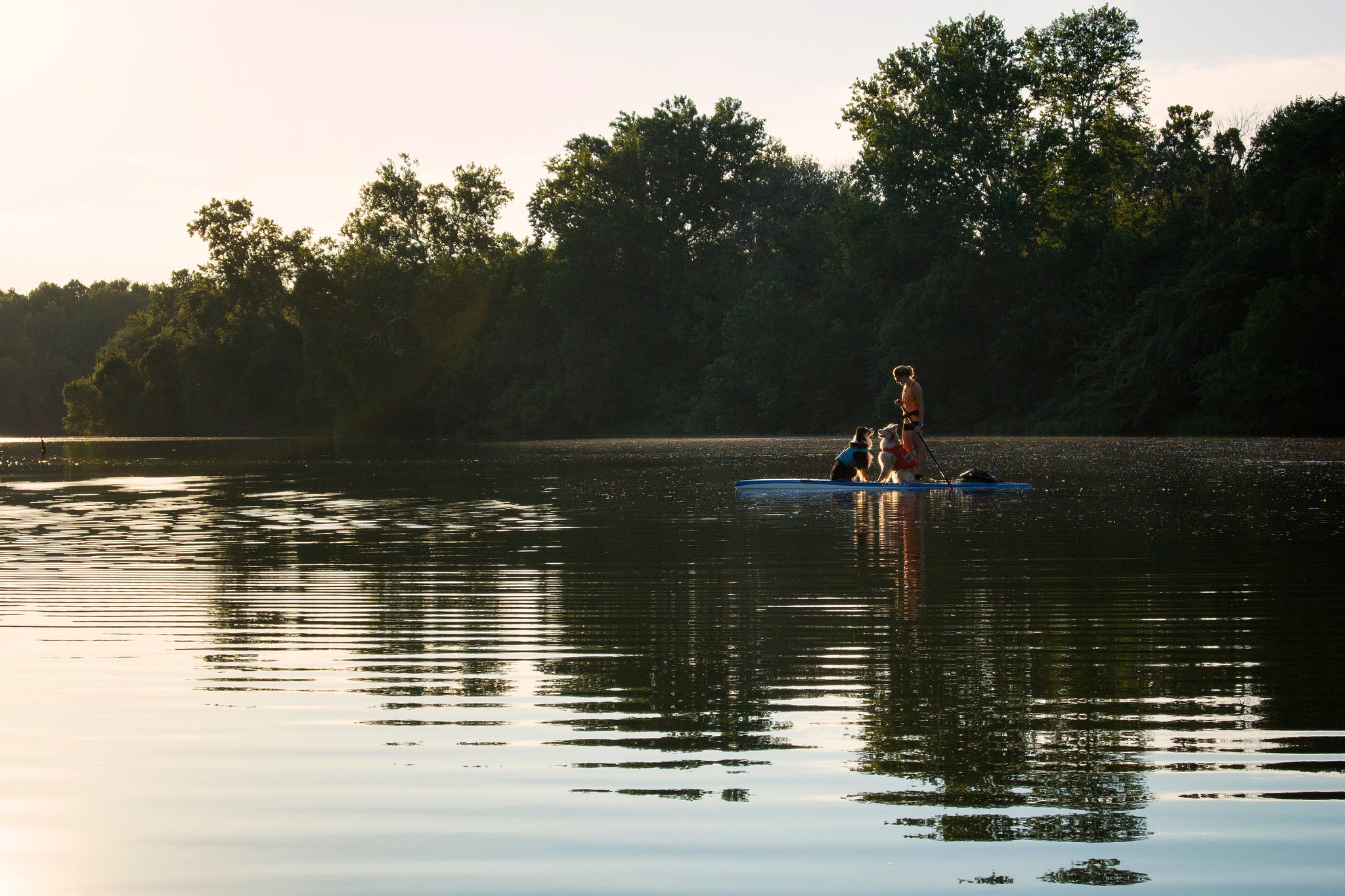 Ambassador: Maria Schultz